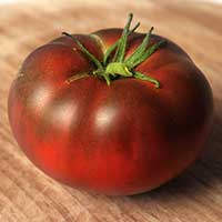 купить рассаду помидор 